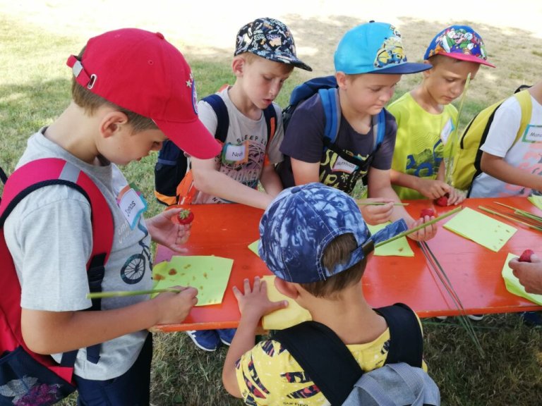 20.06.2023: Dorfwiesentag in den Rottauen in Pfarrkirchen