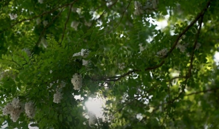 Grossansicht in neuem Fenster: ILE Klosterwinkel – 10 Kommunen – eine gemeinsame Zukunft Grossansicht in neuem Fenster: ILE Klosterwinkel – 10 Kommunen – eine gemeinsame Zukunft
